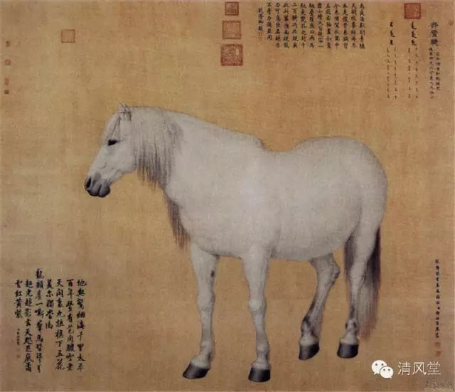看看清代皇宫的十匹名马——郎世宁 《十骏图图册》